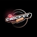 online cricket tournament